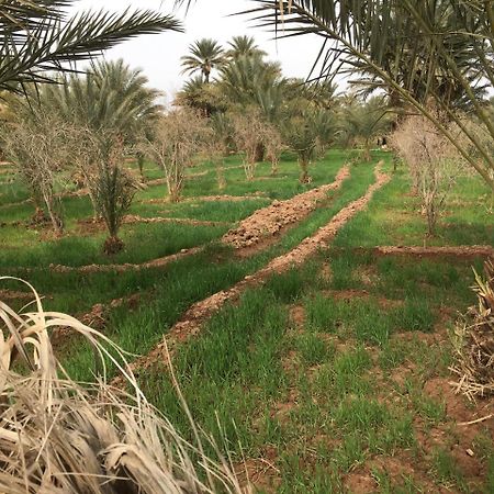 Le Sauvage Noble Hotel Zagora Bagian luar foto